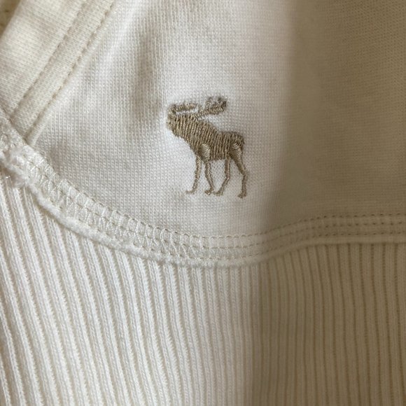 *HOST PICK* Abercrombie & Fitch Buttoned Hoodie - Picture 2 of 5